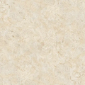 Coralina