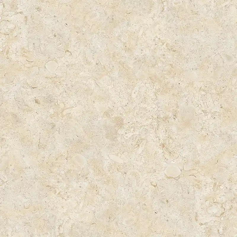 Coralina