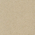 Crema Pisa