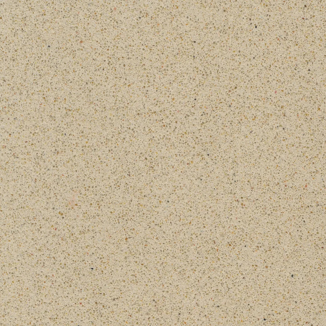 Crema Pisa